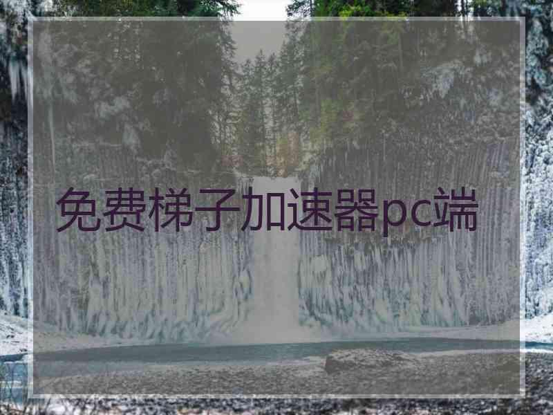 免费梯子加速器pc端