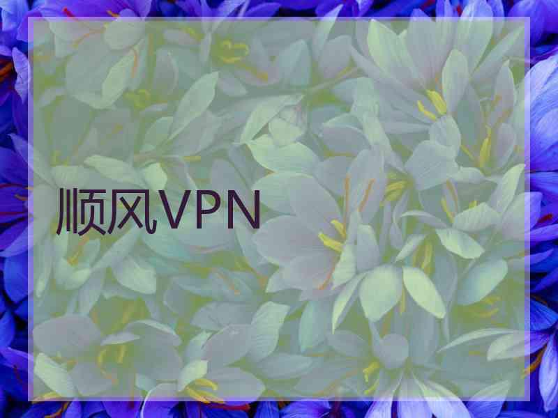 顺风VPN