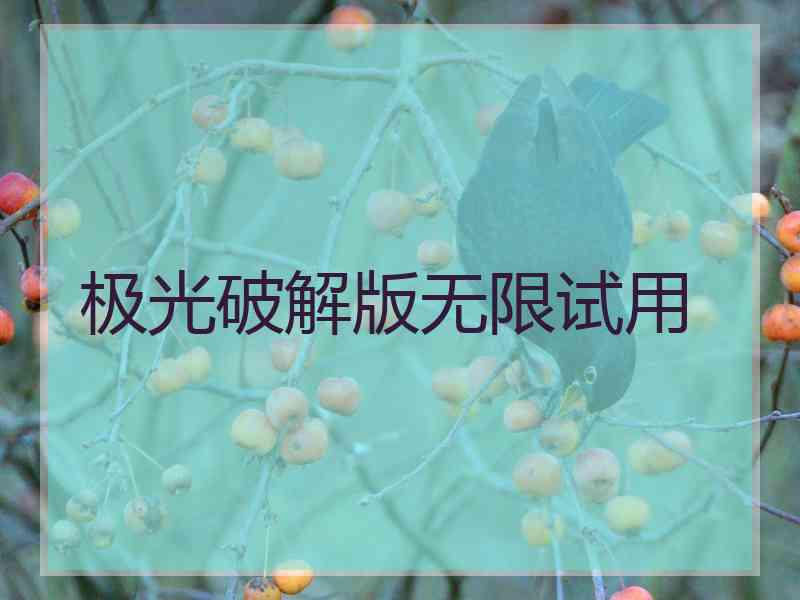 极光破解版无限试用