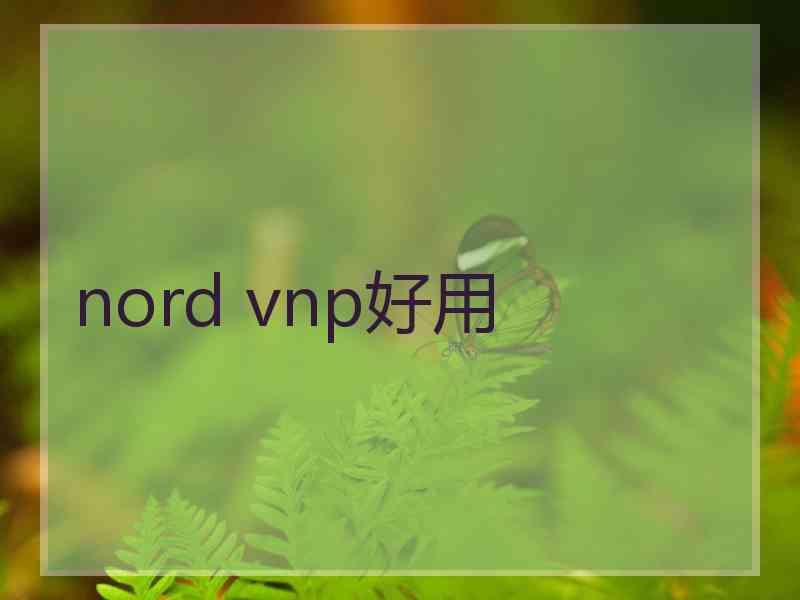 nord vnp好用