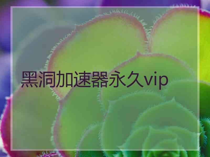 黑洞加速器永久vip