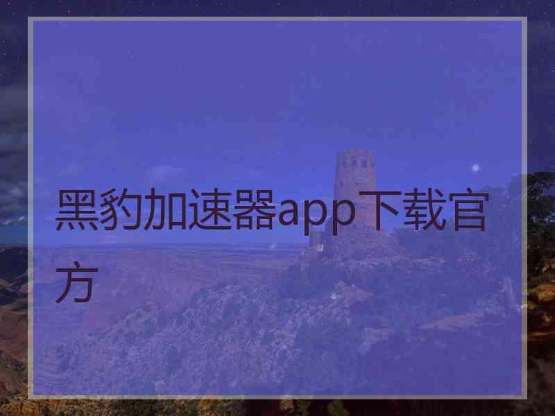 黑豹加速器app下载官方