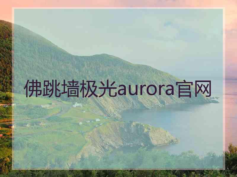 佛跳墙极光aurora官网