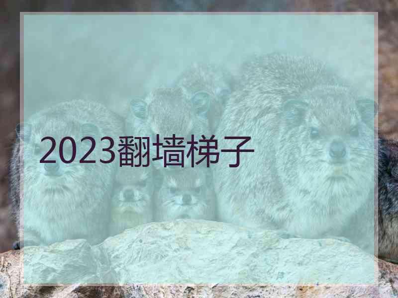 2023翻墙梯子