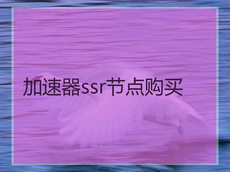 加速器ssr节点购买