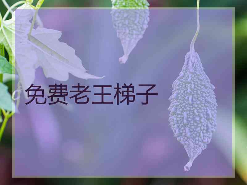 免费老王梯子