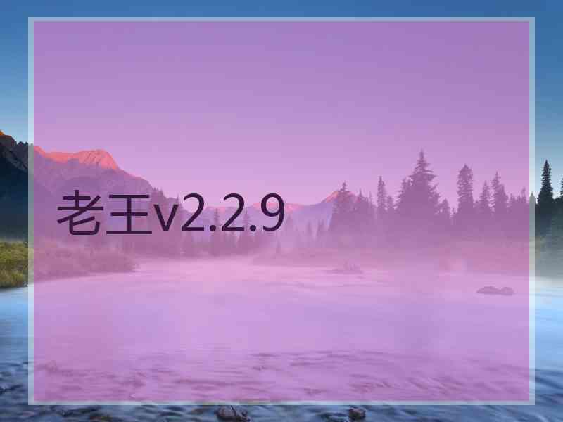 老王v2.2.9