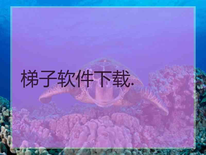 梯子软件下载.