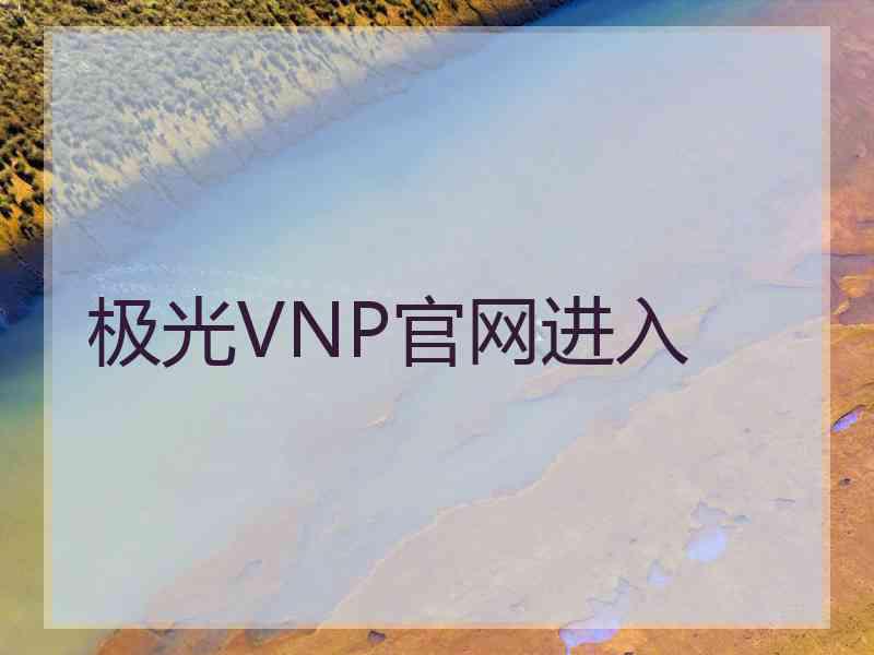 极光VNP官网进入