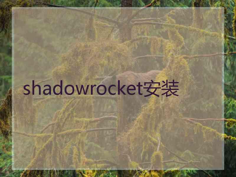 shadowrocket安装