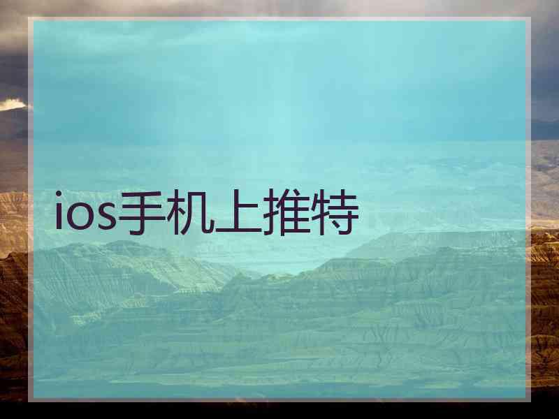 ios手机上推特