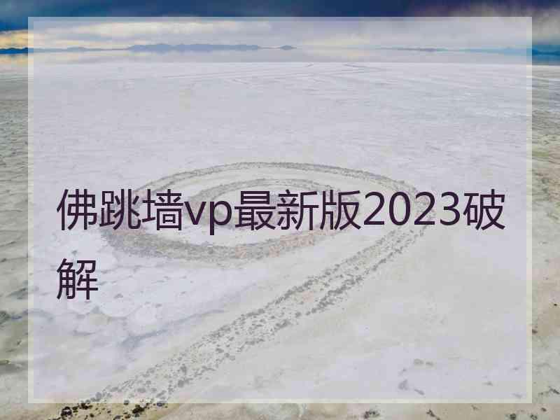 佛跳墙vp最新版2023破解