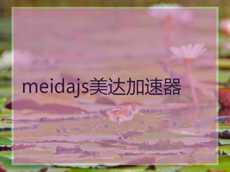 meidajs美达加速器