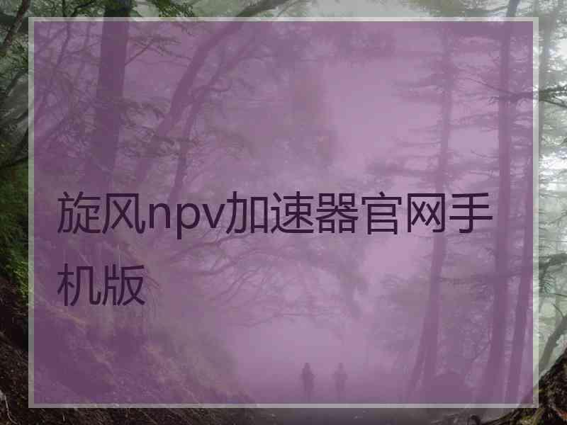 旋风npv加速器官网手机版