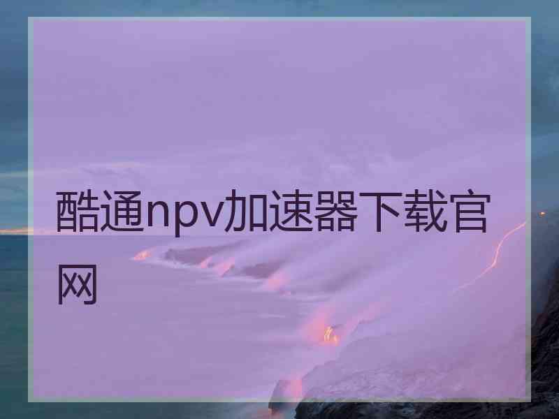 酷通npv加速器下载官网