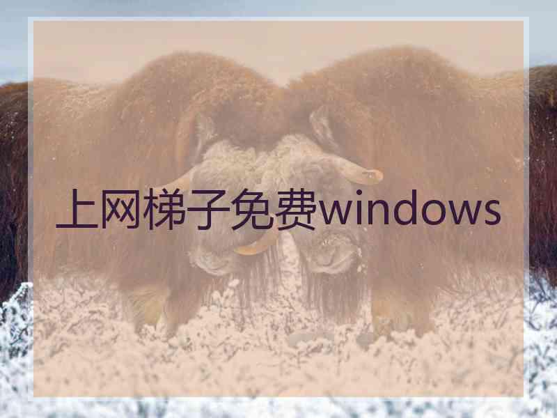 上网梯子免费windows