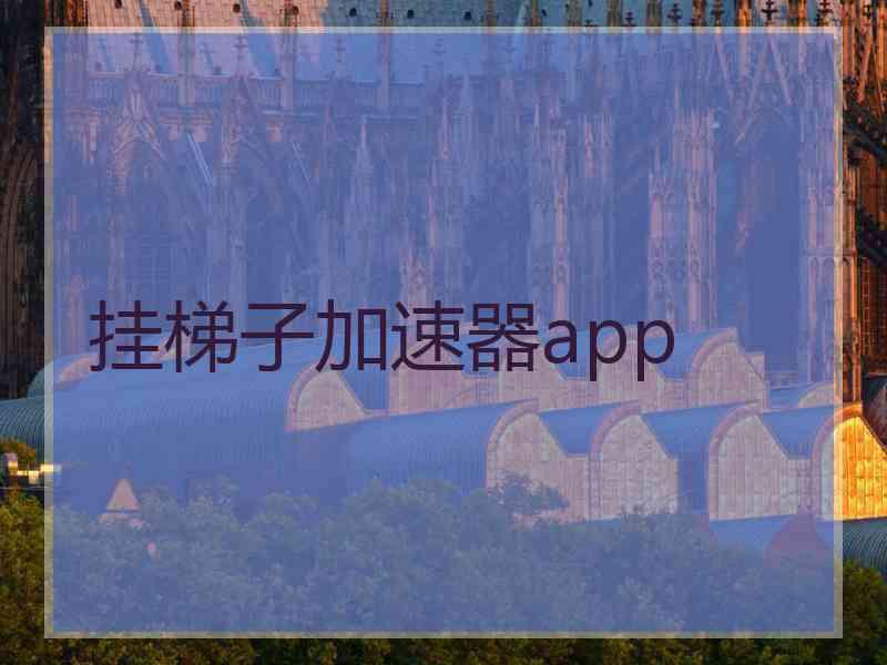 挂梯子加速器app