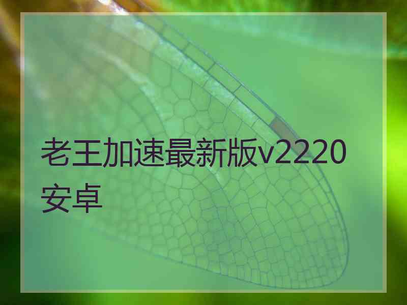 老王加速最新版v2220安卓