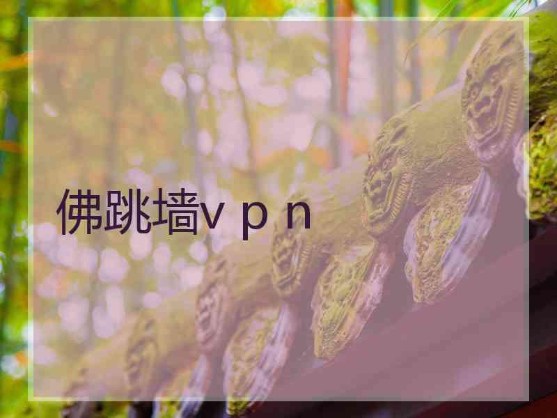 佛跳墙v p n