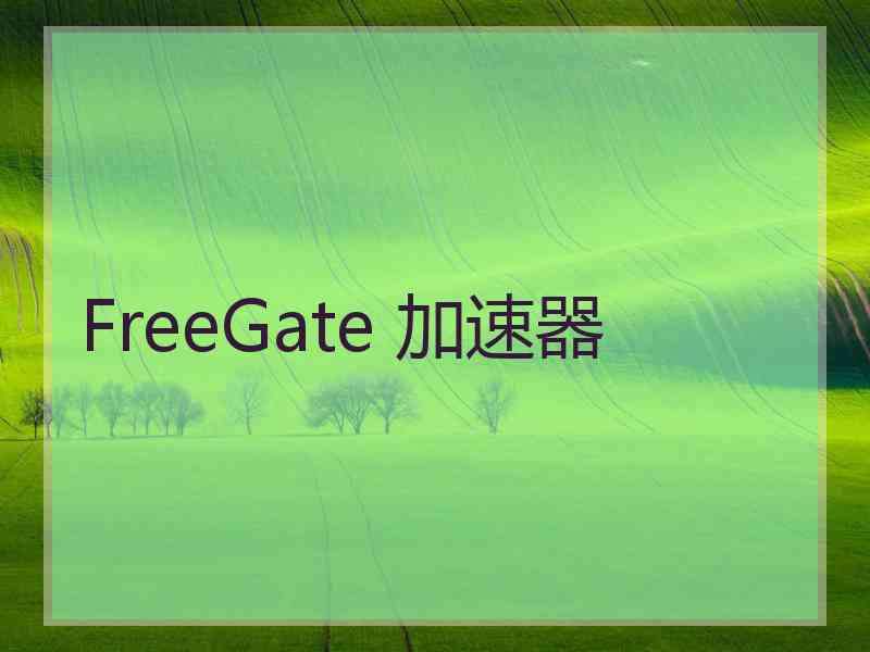 FreeGate 加速器