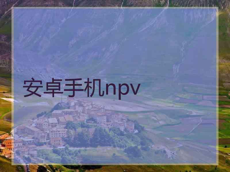 安卓手机npv